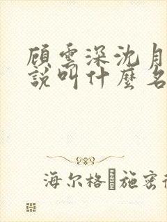 顾云深沈月西小说叫什么名字