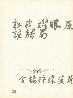 许我耀眼原著小说结局