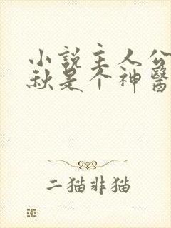 小说主人公叫叶秋是个神医的小说