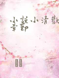 小说小清欢最新章节