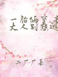 一胎俩宝,老婆大人别想逃