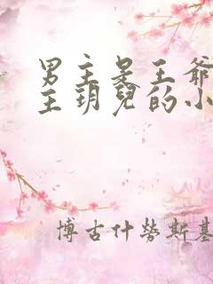 男主是王爷叫女主玥儿的小说