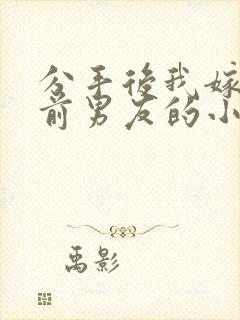 分手后我嫁给了前男友的小叔短剧免费观看