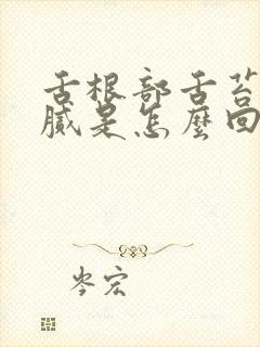 舌根部舌苔厚白腻是怎么回事