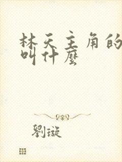 林天主角的小说叫什么