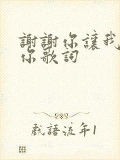 谢谢你让我遇见你歌词