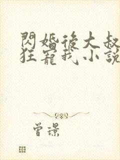 闪婚后大叔每天狂宠我小说