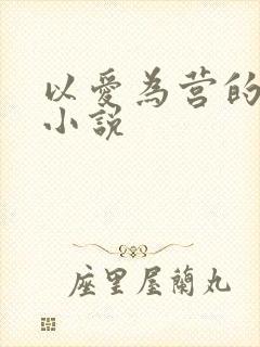 以爱为营的原著小说