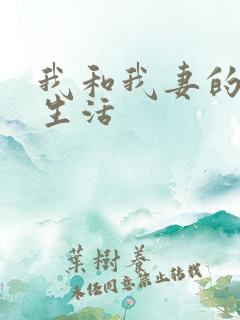 我和我妻的绿奴生活