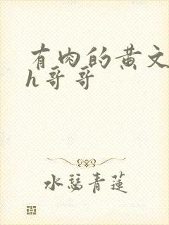 有肉的黄文小说h哥哥