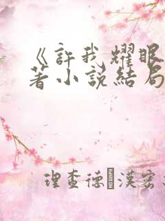 《许我耀眼》原著小说结局