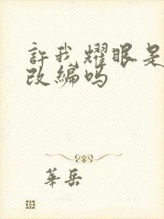 许我耀眼是小说改编吗