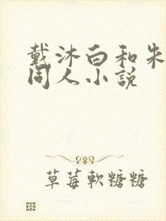 戴沐白和朱竹清同人小说