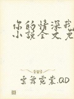 你的情深我不配小说全文免费阅读