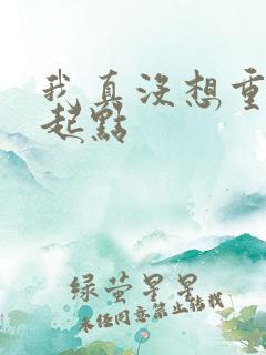 我真没想重生啊起点
