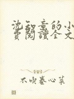 沈知意的小说免费阅读全文