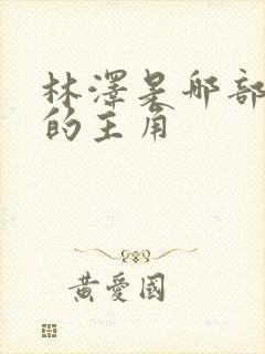 林泽是哪部小说的主角