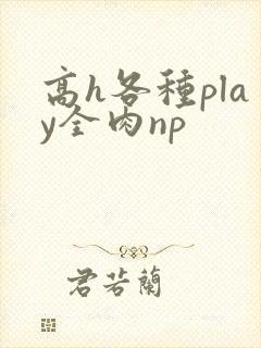高h各种play全肉np