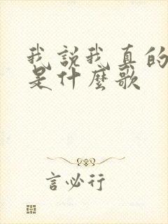 我说我真的爱你是什么歌