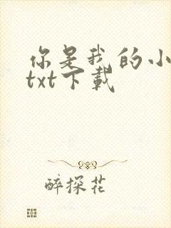 你是我的小确幸txt下载
