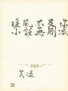 暖风不及你情深小说无删减正版在线阅读