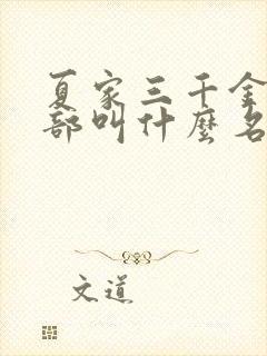 夏家三千金第二部叫什么名字