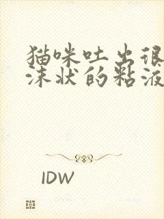 猫咪吐出很多泡沫状的粘液带血