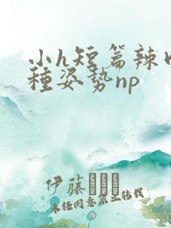 小h短篇辣肉各种姿势np