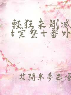 轻狂未删减txt完整+番外