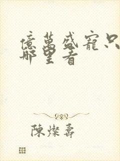 亿万盛宠只为你哪里看