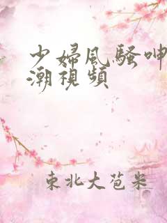 少妇风骚呻吟高潮视频