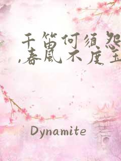 千笛何须怨杨柳,春风不度玉门关