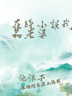 在线小说我的极品老婆