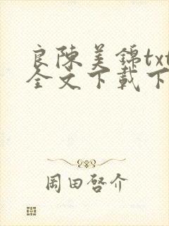 良陈美锦txt全文下载下载