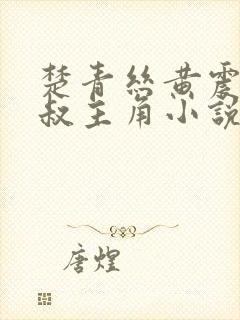 楚青丝黄震和陈叔主角小说免费阅读全文