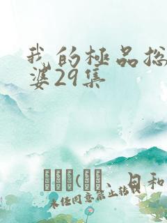 我的极品总裁老婆29集