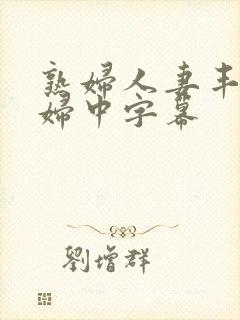 熟妇人妻丰满少妇中字幕