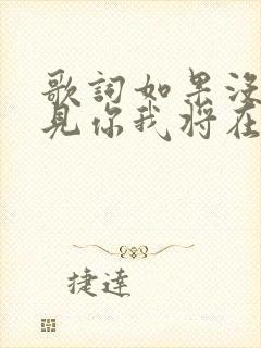 歌词如果没有遇见你我将在哪里