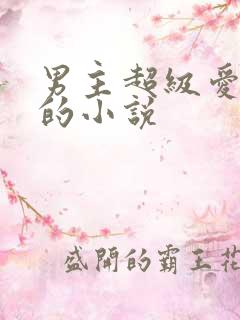男主超级爱女主的小说