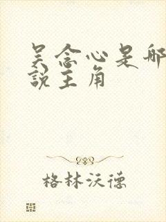 吴念心是哪部小说主角