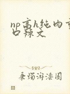 np高h纯肉重口辣文