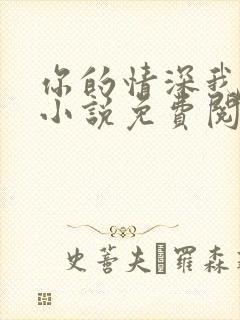 你的情深我不配小说免费阅读