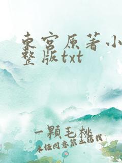 东宫原著小说完整版txt