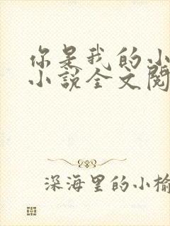 你是我的小确幸小说全文阅读