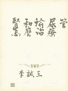 肾和输尿管结石怎么治疗