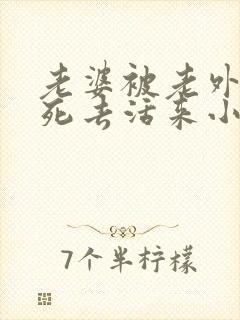 老婆被老外干的死去活来小说