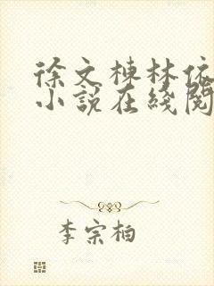 徐文栋林依人的小说在线阅读