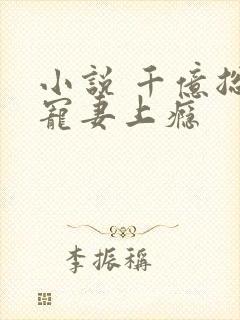 小说 千亿总裁宠妻上瘾