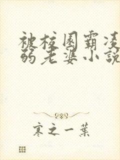 被校园霸凌的懦弱老婆小说在线阅读