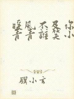 暖风不及你情深青青谁笑小说免费阅读全集